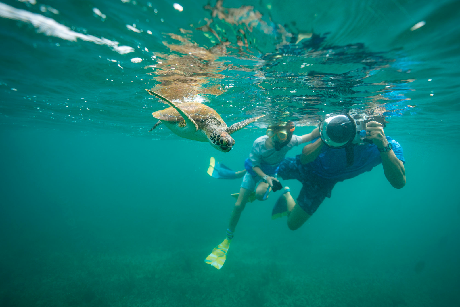 Interview with an Oceans Expert