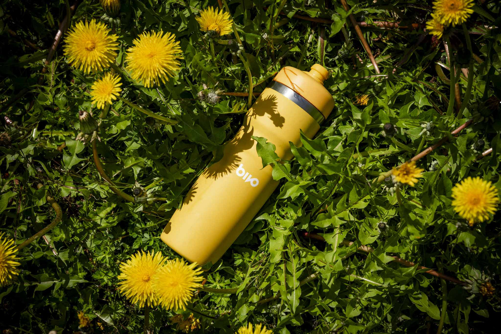 Performance, Fun, and Summer '25