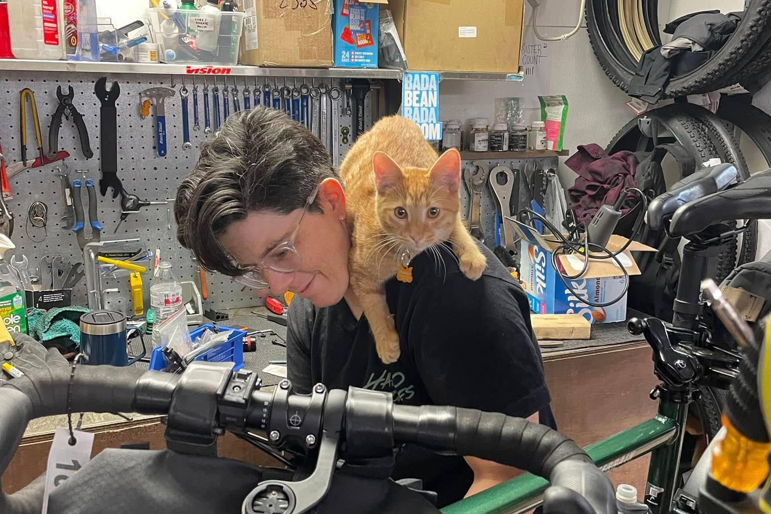 Women Led Wednesday - Interviewing Women Owned Bike Shops